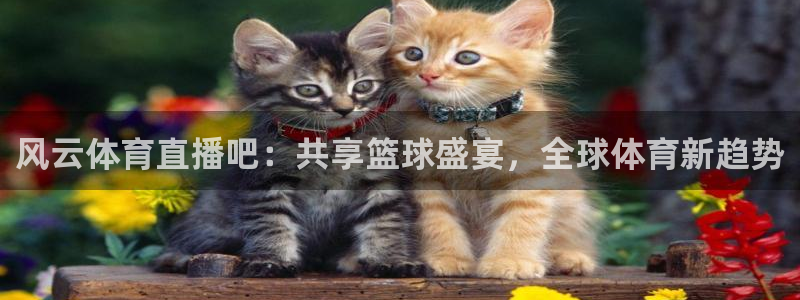 风云体育直播吧：共享篮球盛宴，全球体育新趋势