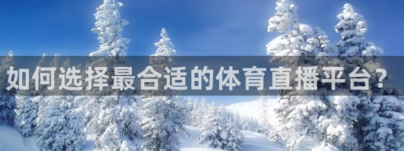 如何选择最合适的体育直播平台？