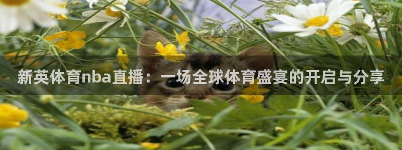 新英体育nba直播：一场全球体育盛宴的开启与分享