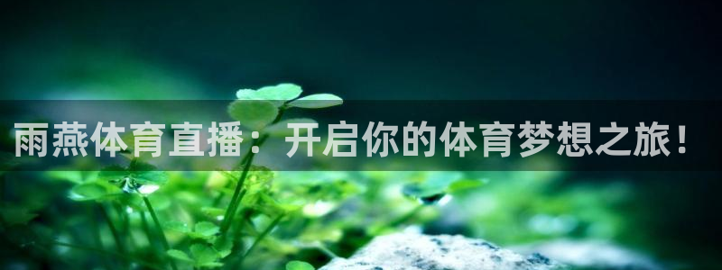 雨燕体育直播：开启你的体育梦想之旅！