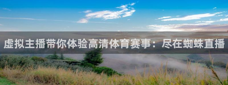 虚拟主播带你体验高清体育赛事：尽在蜘蛛直播