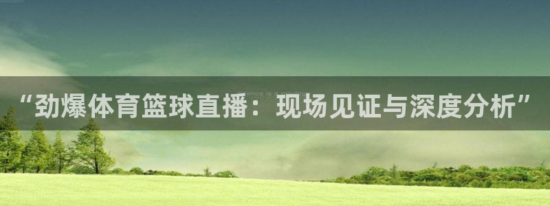 “劲爆体育篮球直播：现场见证与深度分析”