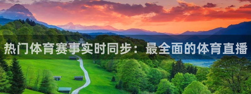 热门体育赛事实时同步：最全面的体育直播