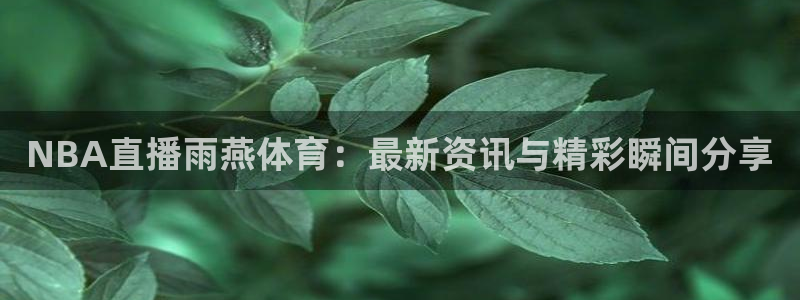 NBA直播雨燕体育：最新资讯与精彩瞬间分享