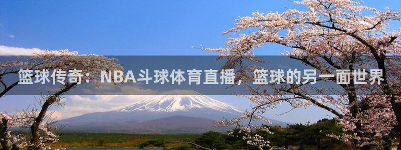 篮球传奇：NBA斗球体育直播，篮球的另一面世界