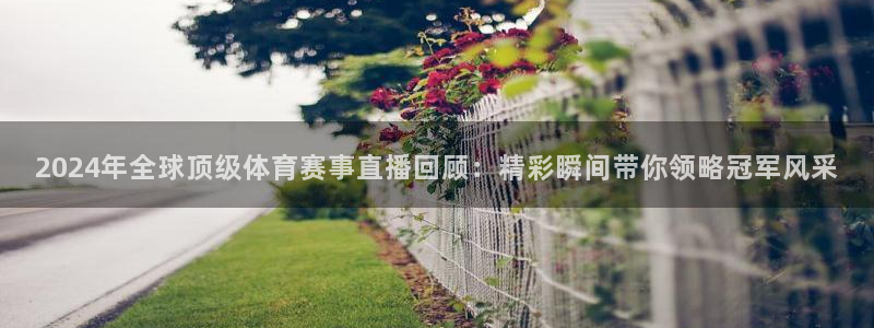 2024年全球顶级体育赛事直播回顾：精彩瞬间带你领略冠军风采