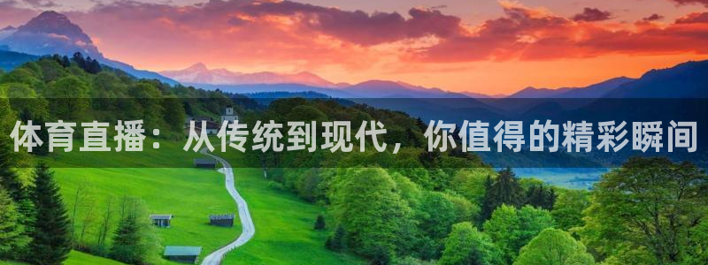 体育直播：从传统到现代，你值得的精彩瞬间