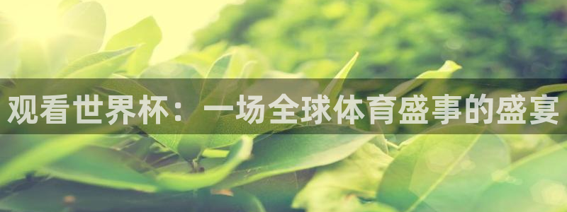 观看世界杯：一场全球体育盛事的盛宴