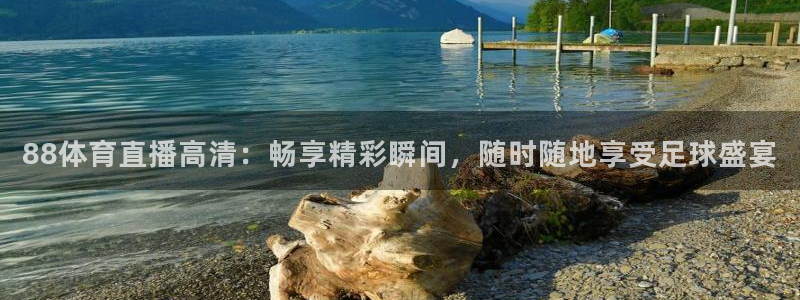 88体育直播高清：畅享精彩瞬间，随时随地享受足球盛宴