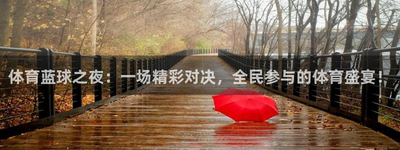 体育蓝球之夜：一场精彩对决，全民参与的体育盛宴！