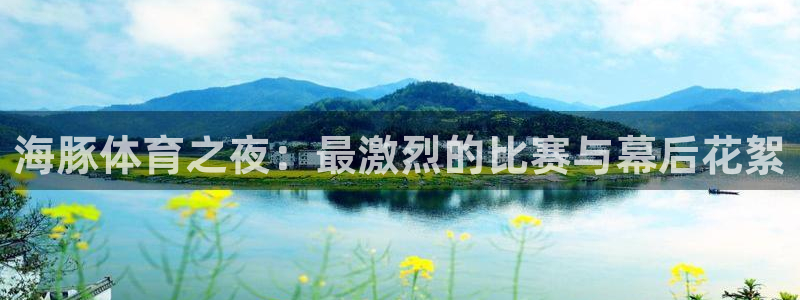 海豚体育之夜：最激烈的比赛与幕后花絮