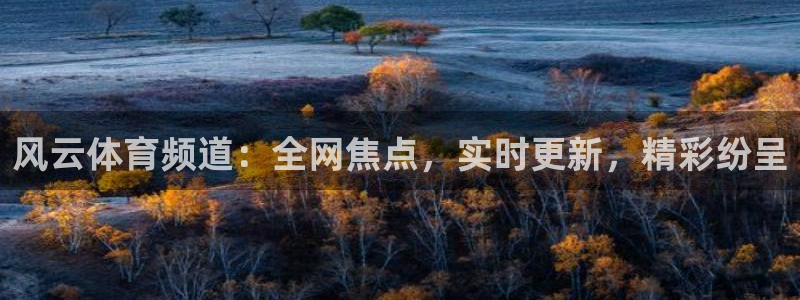 风云体育频道：全网焦点，实时更新，精彩纷呈