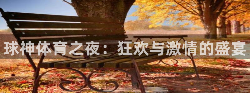 球神体育之夜：狂欢与激情的盛宴