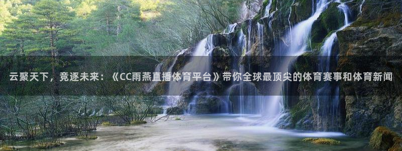 云聚天下，竞逐未来：《CC雨燕直播体育平台》带你全球最顶尖的体育赛事和体育新闻