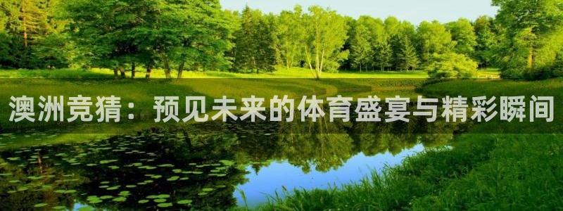 澳洲竞猜：预见未来的体育盛宴与精彩瞬间