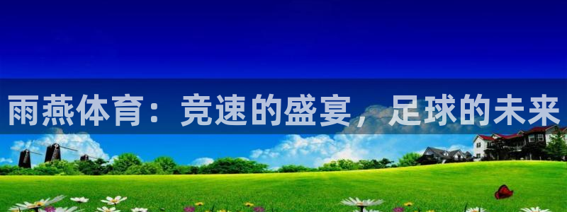 雨燕体育：竞速的盛宴，足球的未来