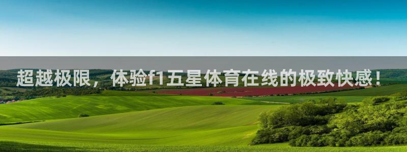 超越极限，体验f1五星体育在线的极致快感！