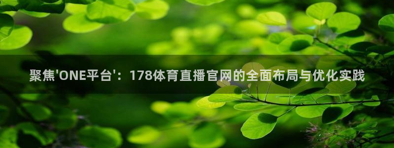 聚焦\'ONE平台\'：178体育直播官网的全面布局与优化实践