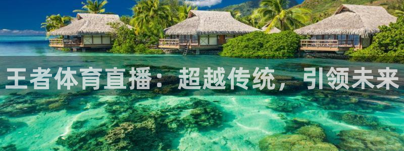 王者体育直播：超越传统，引领未来