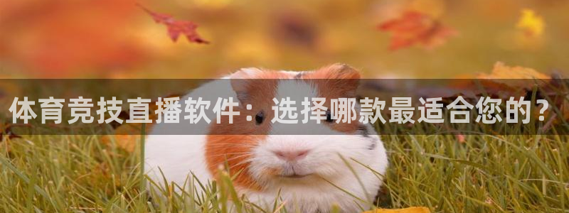 体育竞技直播软件：选择哪款最适合您的？