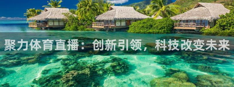 聚力体育直播：创新引领，科技改变未来