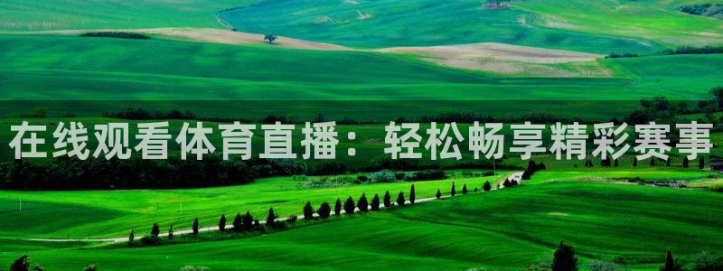在线观看体育直播：轻松畅享精彩赛事