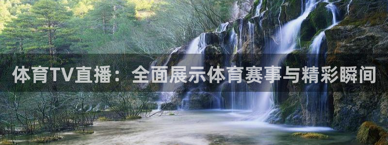 体育TV直播：全面展示体育赛事与精彩瞬间