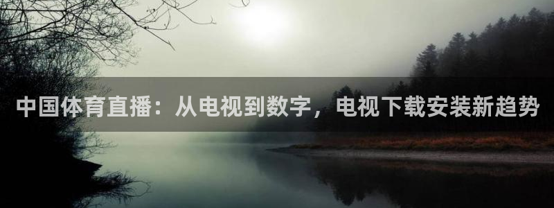 中国体育直播：从电视到数字，电视下载安装新趋势