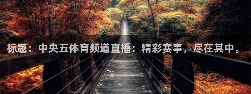 标题：中央五体育频道直播：精彩赛事，尽在其中。