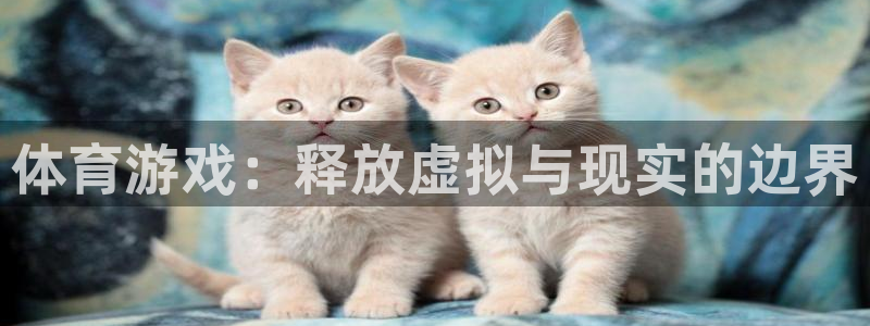 体育游戏：释放虚拟与现实的边界