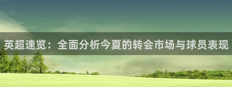 英超速览：全面分析今夏的转会市场与球员表现