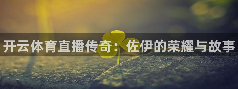 开云体育直播传奇：佐伊的荣耀与故事