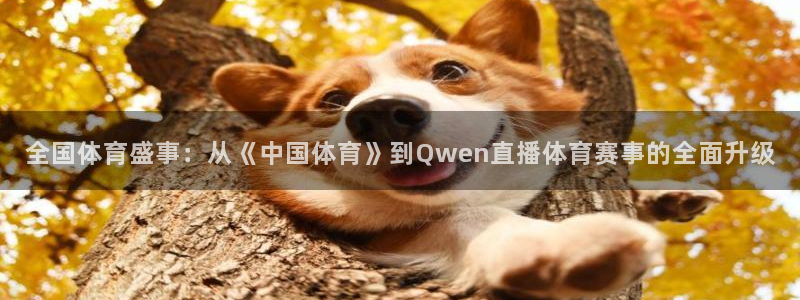 全国体育盛事：从《中国体育》到Qwen直播体育赛事的全面升级
