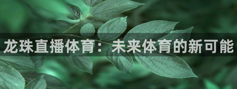 龙珠直播体育：未来体育的新可能
