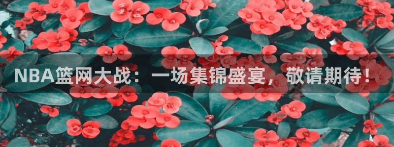 NBA篮网大战：一场集锦盛宴，敬请期待！