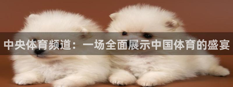 中央体育频道：一场全面展示中国体育的盛宴