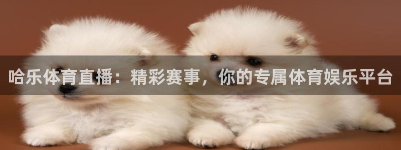 哈乐体育直播：精彩赛事，你的专属体育娱乐平台