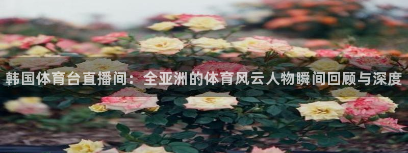 韩国体育台直播间：全亚洲的体育风云人物瞬间回顾与深度