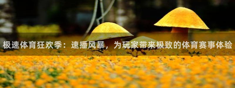 极速体育狂欢季：速播风暴，为玩家带来极致的体育赛事体验